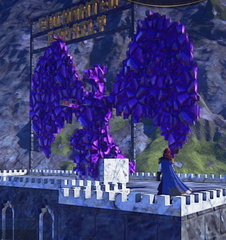 dragon-in-purple