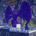 dragon-in-purple